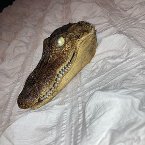 Alligator Head Decor